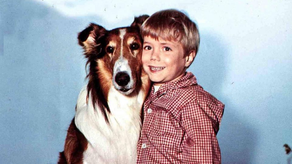 Jon Provost in "Lassie"