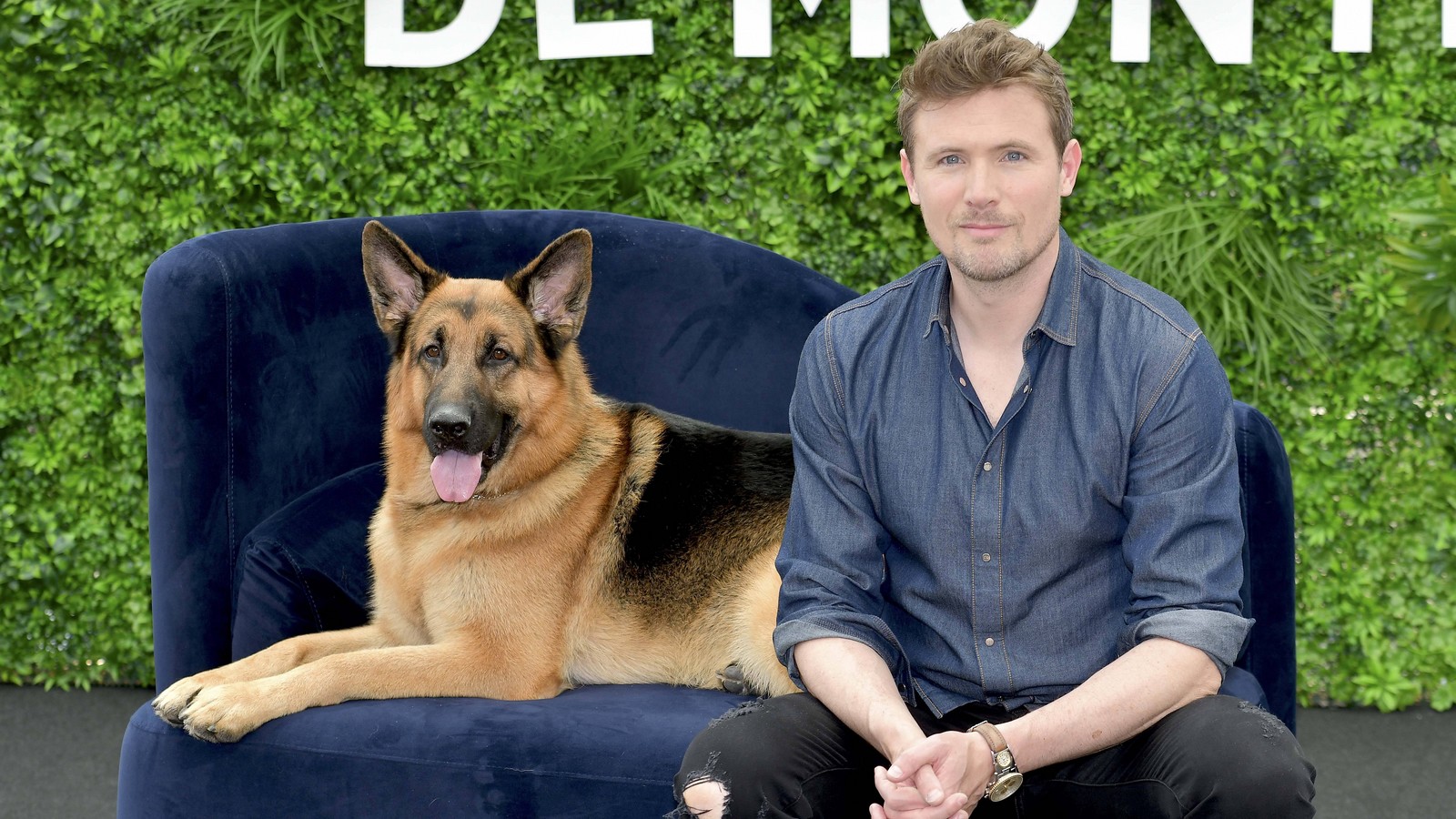 Kommissar Rex Neuauflage der Serie läuft im FreeTV!